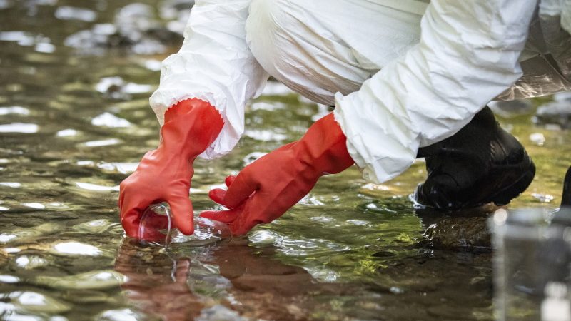 NI rivers test positive for traces of veterinary medicines