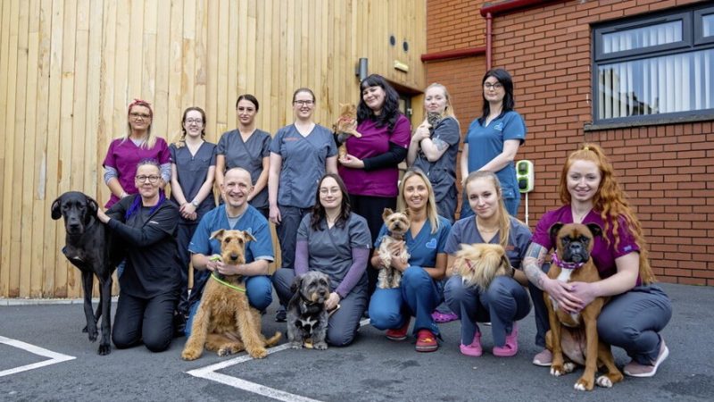 East Belfast veterinary practice now owned by its staff