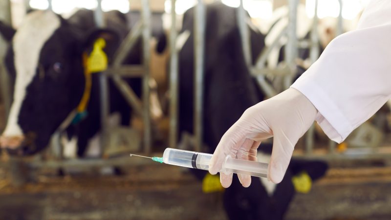 Antibiotic sales dip hailed as AMR fight continues