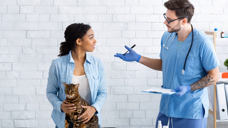 Become a Vetlife Trustee