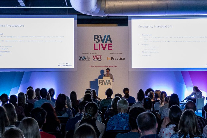 Contextualised care on BVA Live agenda