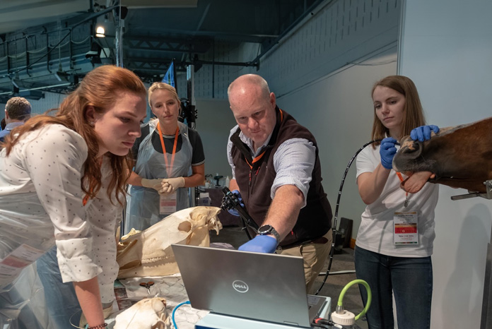 BEVA to offer wetlab practicals at Congress