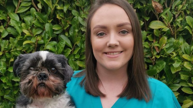 NI home euthanasia vet hails fundraiser for pet rescue