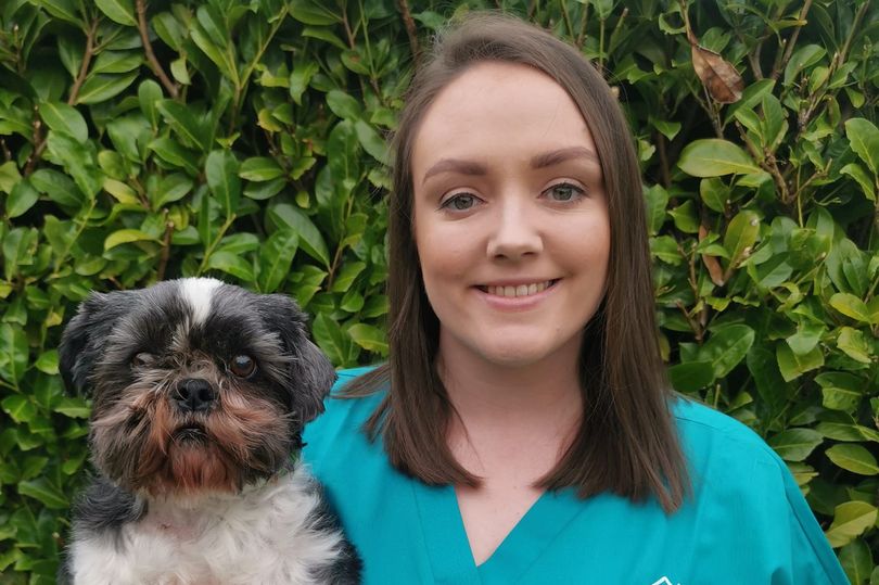 NI home euthanasia vet hails fundraiser for pet rescue
