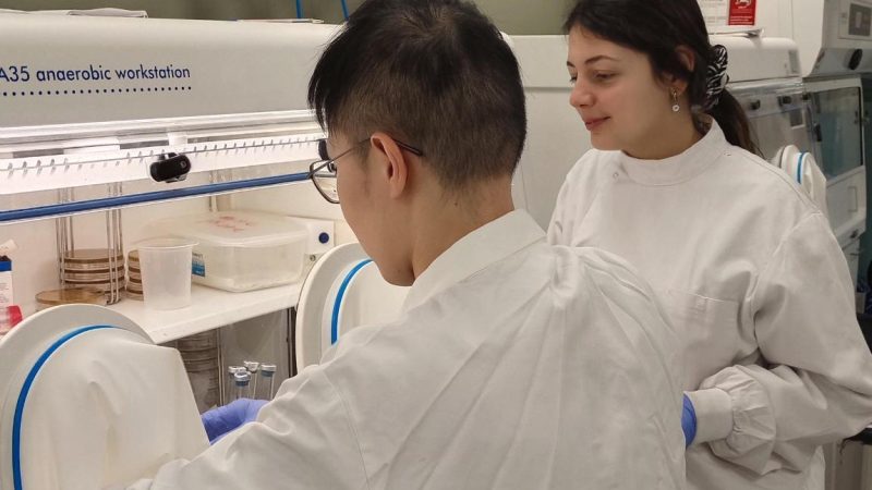 World AMR Week – NI AMR Network Free Event at Riddel Hall