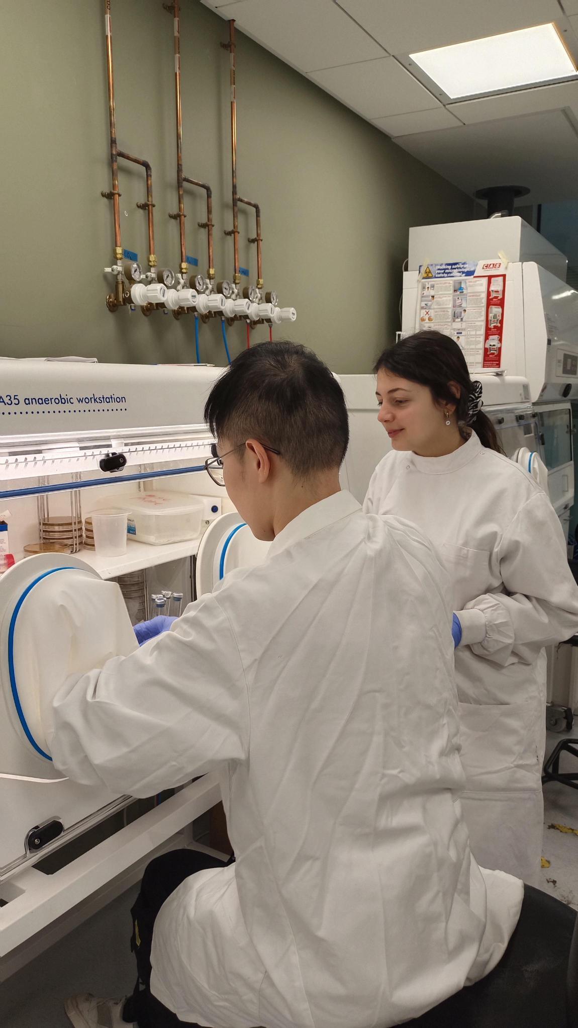 World AMR Week – NI AMR Network Free Event at Riddel Hall