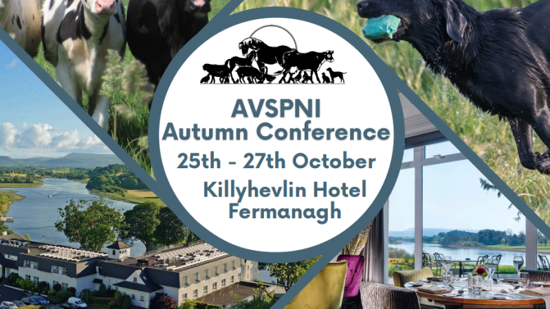 AVSPNI Autumn Conference – Killyhevlin 25-27th October