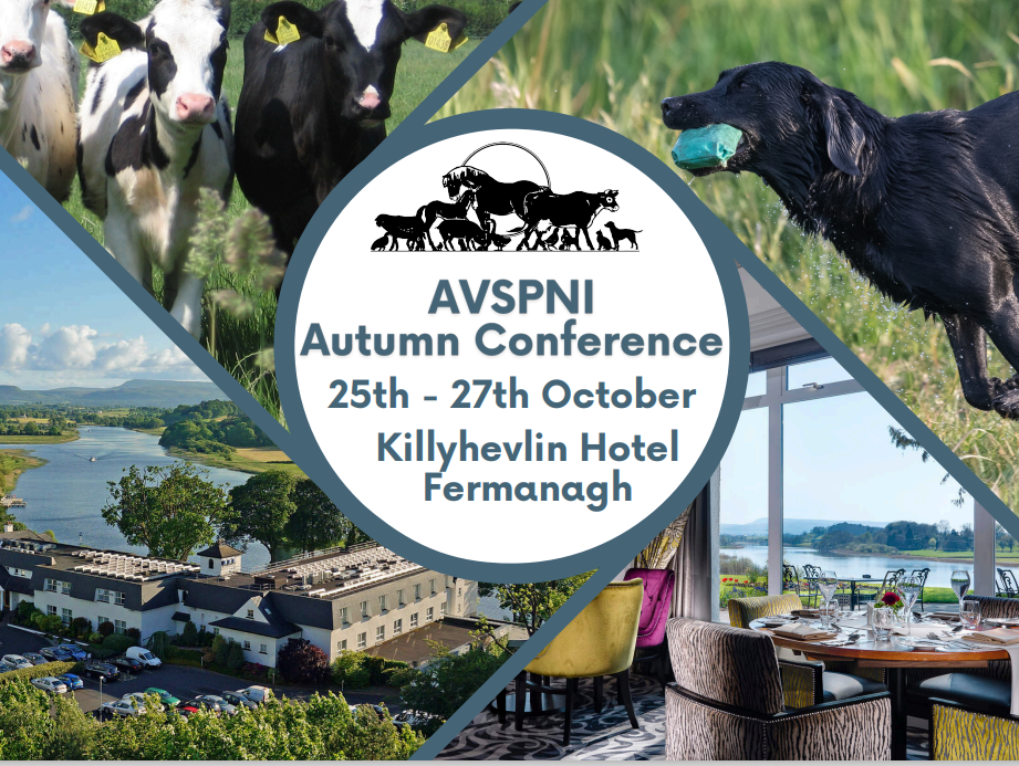 AVSPNI Autumn Conference – Killyhevlin 25-27th October