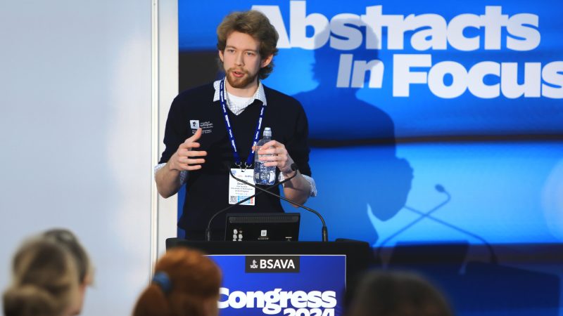 Submissions open for BSAVA’s Clinical Abstracts for 2025