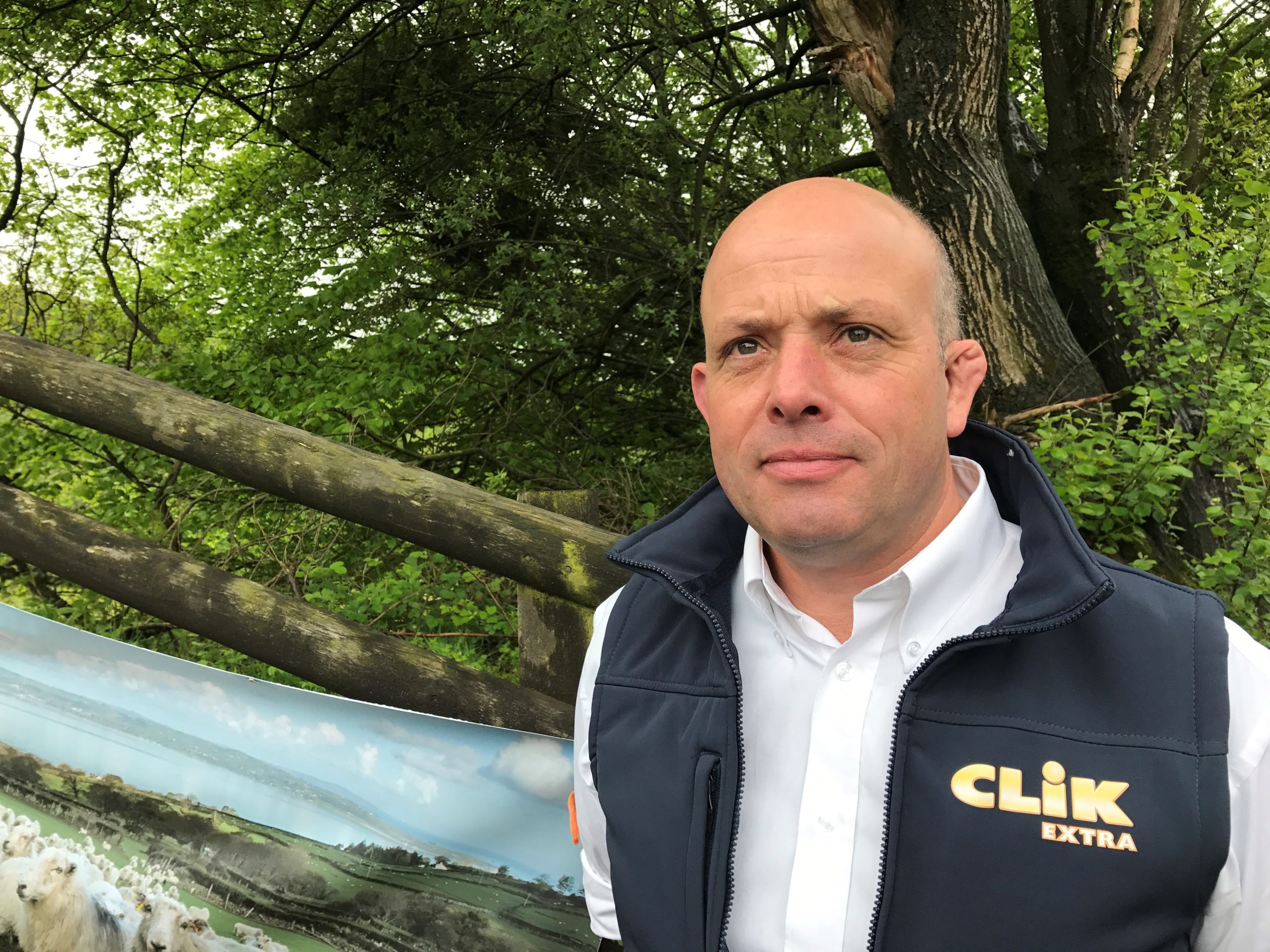 Vets encouraged to lead on sheep worm control amid changing farming landscape