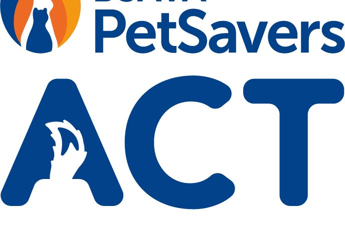 BSAVA PetSavers partners with IDEXX Animana for senior dog owners toolkit