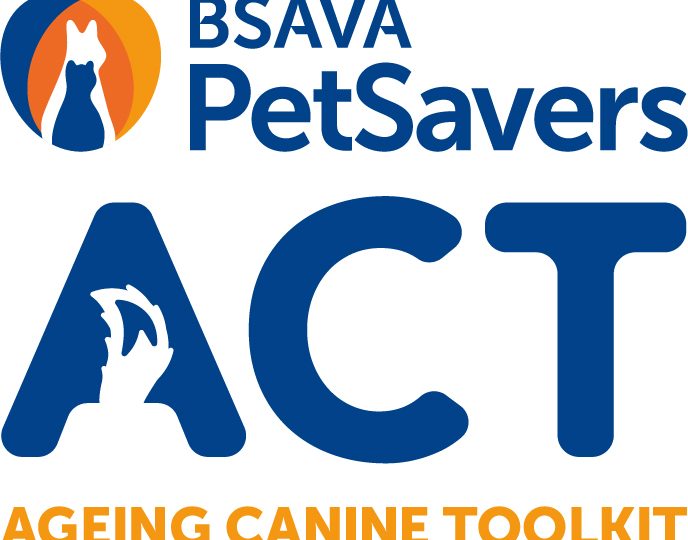 BSAVA PetSavers partners with IDEXX Animana for senior dog owners toolkit