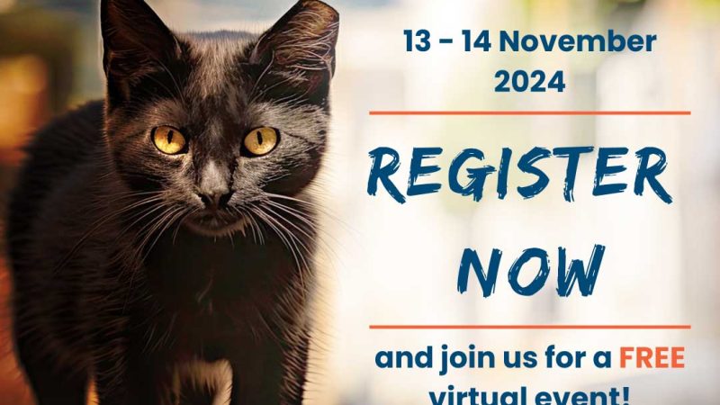 iCatCare launches free virtual event for global unowned cat community