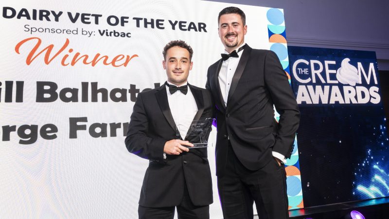 Will Balhatchet crowned Young Dairy Vet of the Year 2024