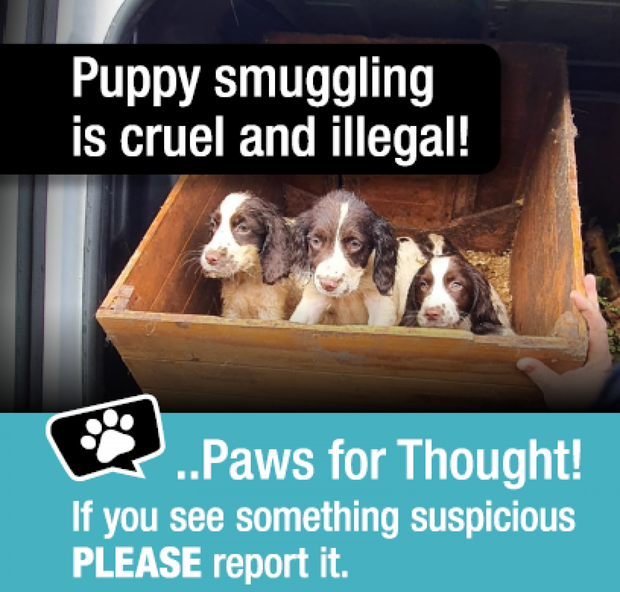 Campaign to help combat illegal breeding and smuggling of puppies