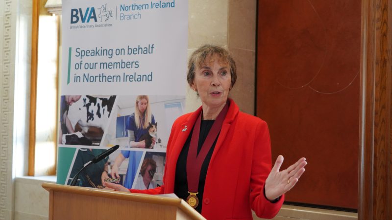 BVA vows to fight to secure vet medicines in Northern Ireland