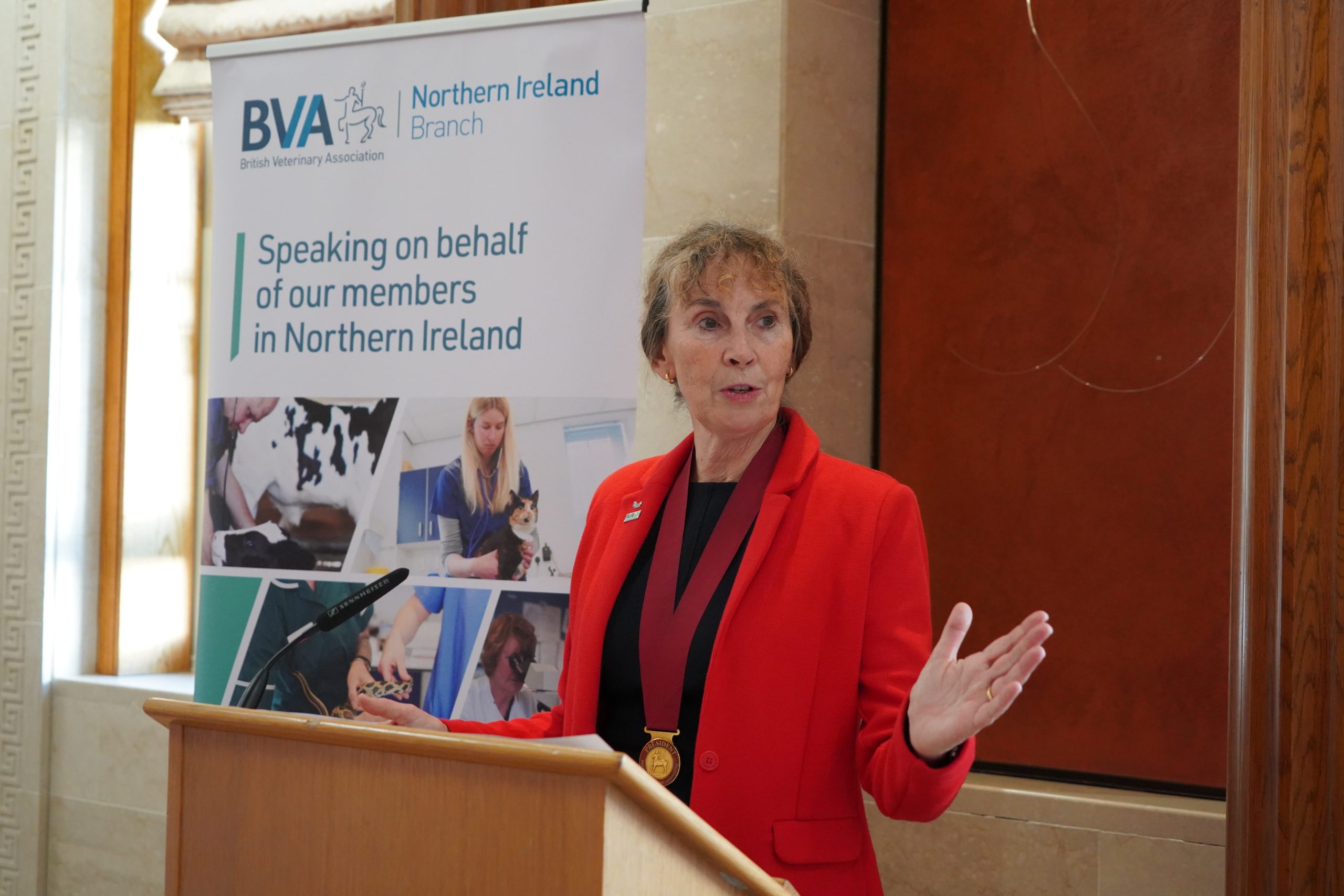 BVA vows to fight to secure vet medicines in Northern Ireland
