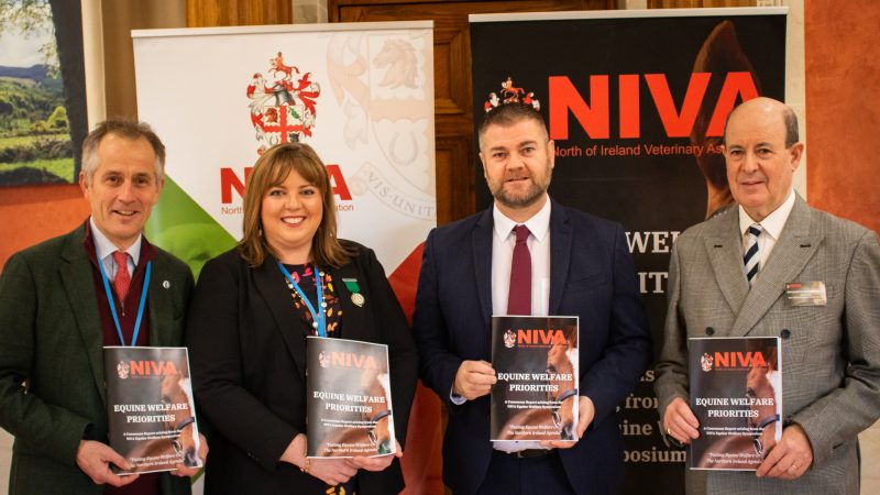 North of Ireland Veterinary Association (NIVA) Calls for Equine Welfare Prioritisation
