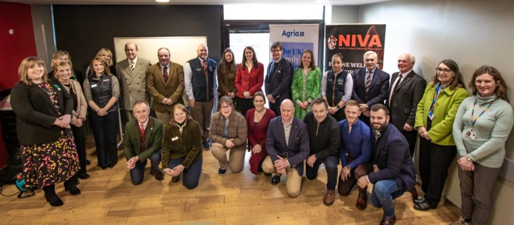 North of Ireland Veterinary Association (NIVA) Calls for Equine Welfare ...