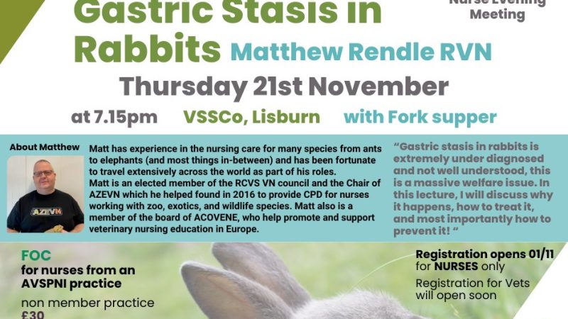 Vet Nurses – Don’t Forget – Gastric Stasis in Rabbits