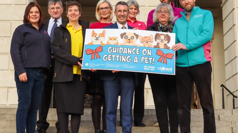 Public urged to think before getting a pet this Christmas