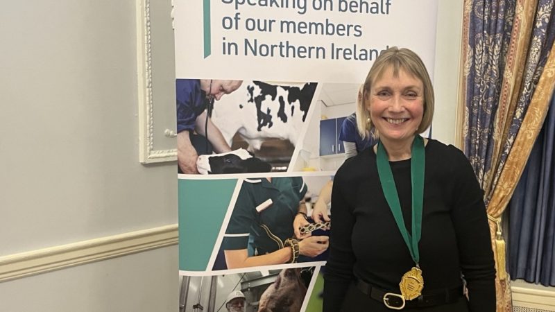 Dr Kirsten Dunbar has been named President of the Northern Ireland Branch of the BVA and NIVA