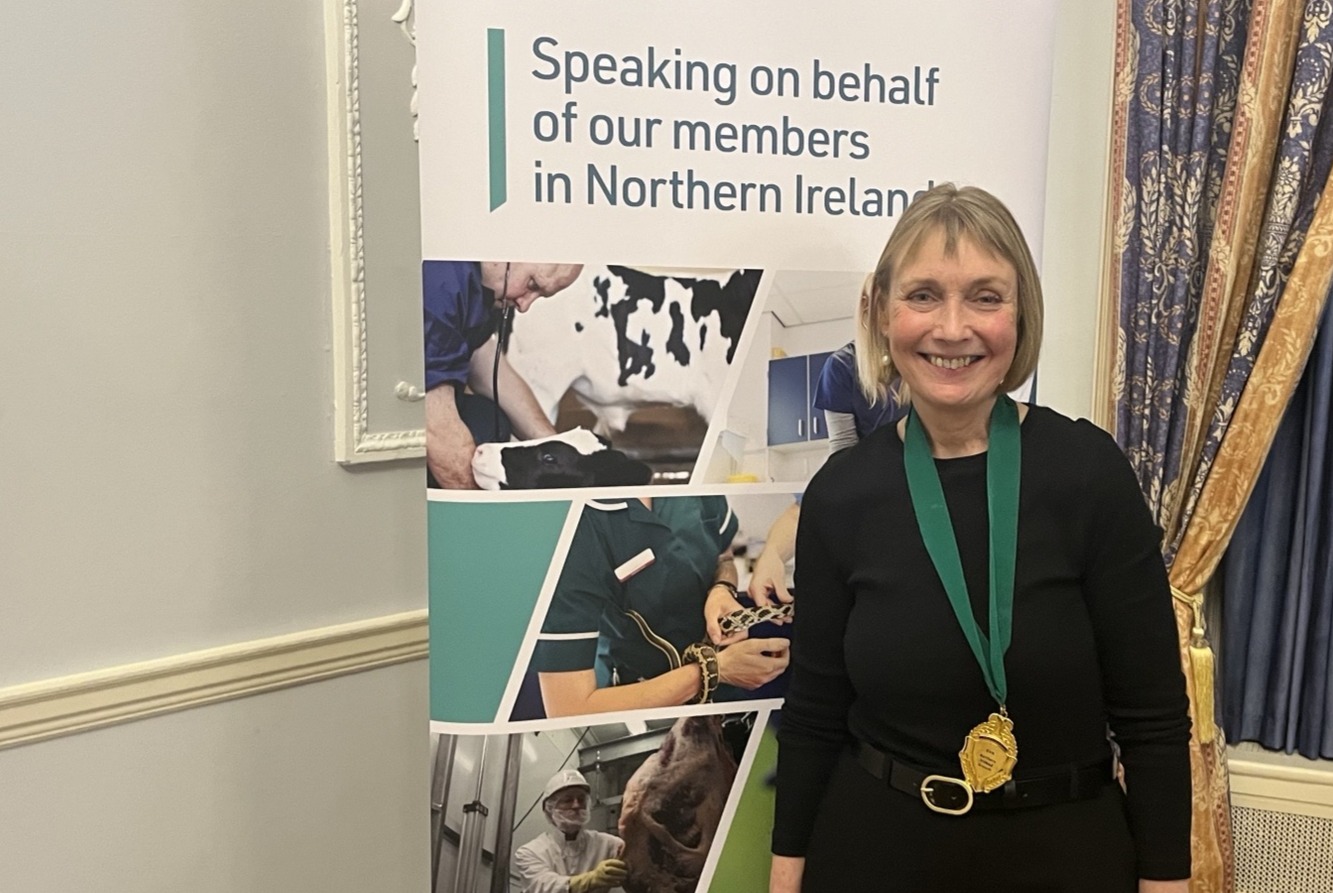 Dr Kirsten Dunbar has been named President of the Northern Ireland Branch of the BVA and NIVA