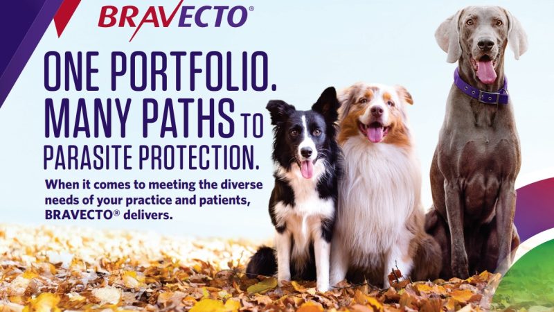 MSD Animal Health unveils THE FIRST ALL-IN-ONE PRODUCT FOR DOGS FROM BRAVECTO