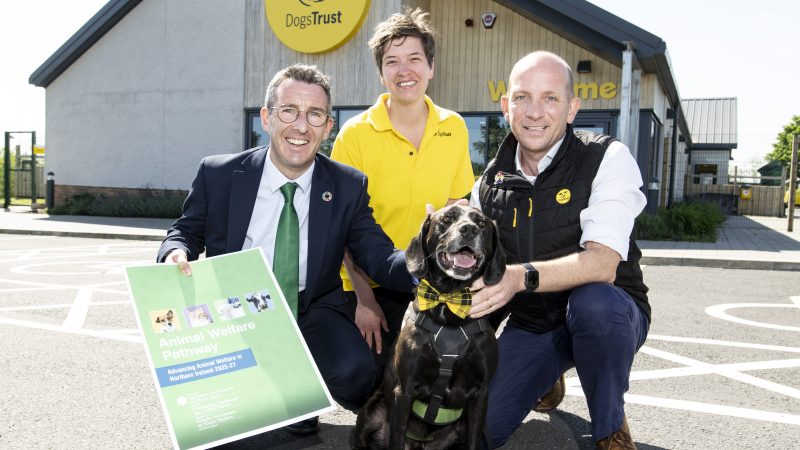 Muir sets out pathway to stronger animal welfare standards