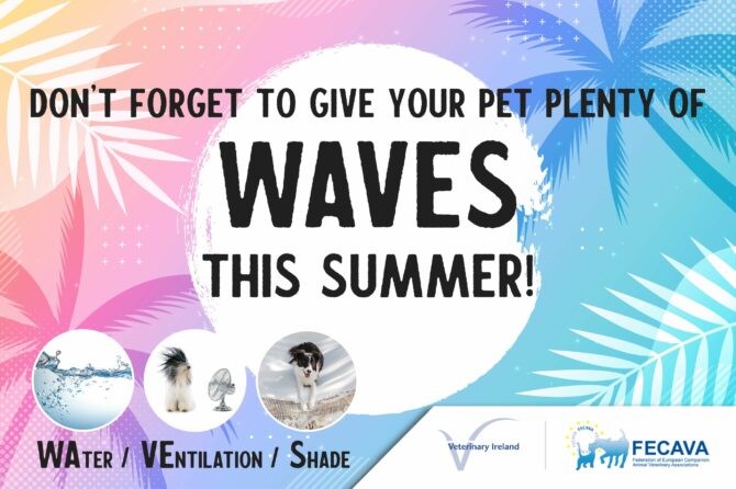 Veterinary Ireland is again advising all pet owners to give their pets plenty of WAVES over the coming summer months
