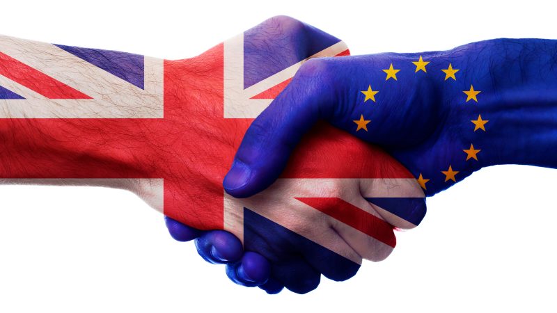 NOAH Urges UK-EU Veterinary Medicines Agreement to Safeguard Animal Health