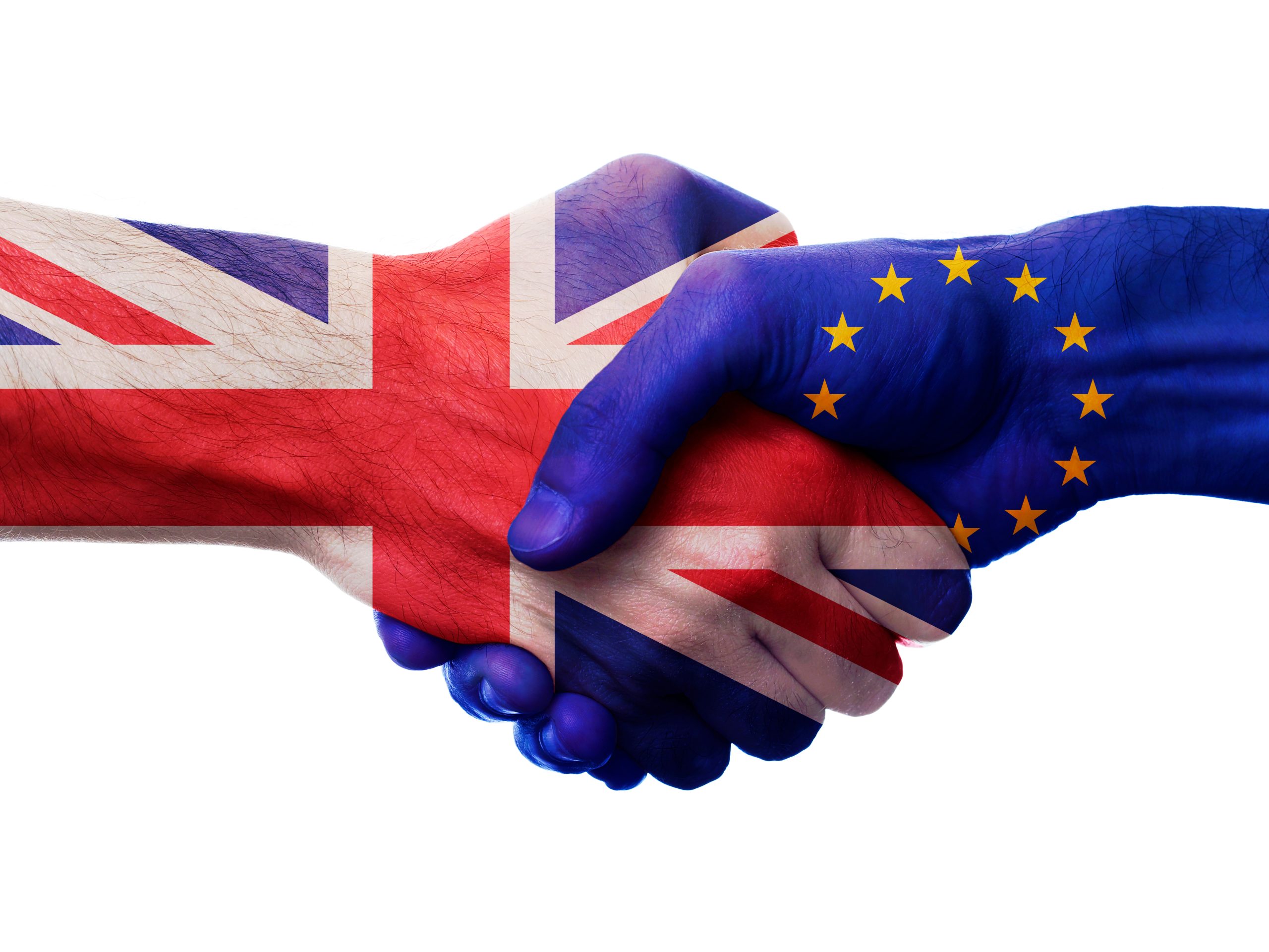 BVA responds to Government’s plans to ensure supply of veterinary medicines in Northern Ireland 