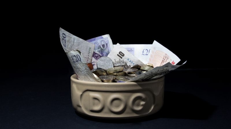 CMA’s proposed remedies for vet market ‘disproportionate’ and in some cases ‘unworkable’ 