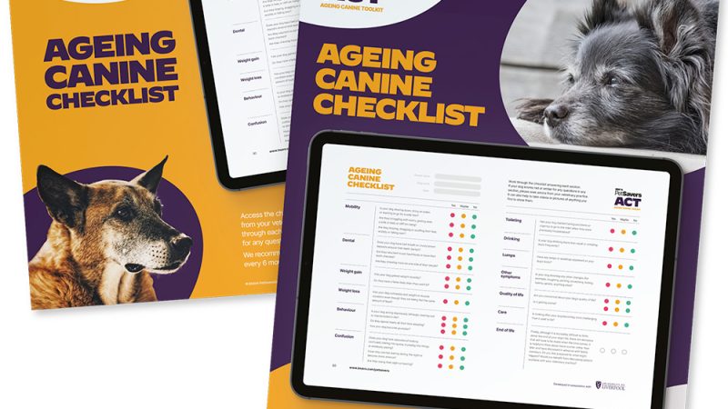 BSAVA PetSavers and NationWide Laboratories launch partnership for the Ageing Canine Toolkit