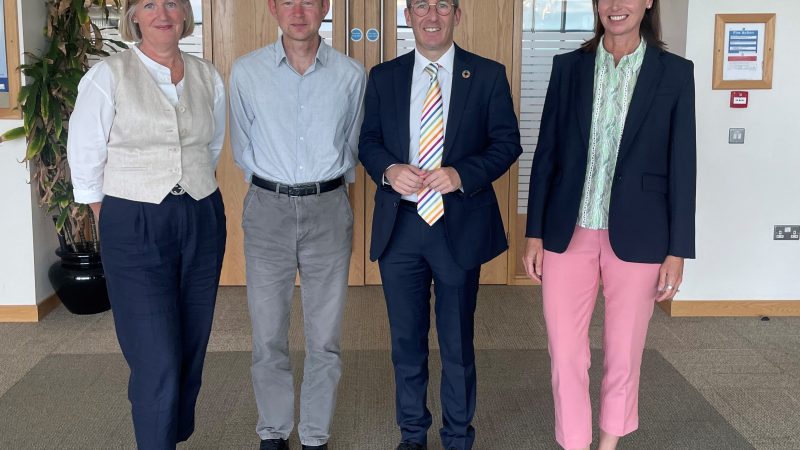 Expert advisory group to review Dog Breeding Regulations in NI