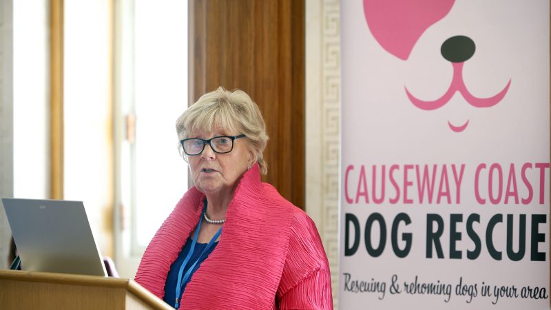 Causeway Coast Dog Rescue host this year’s animal welfare conference in Queens University