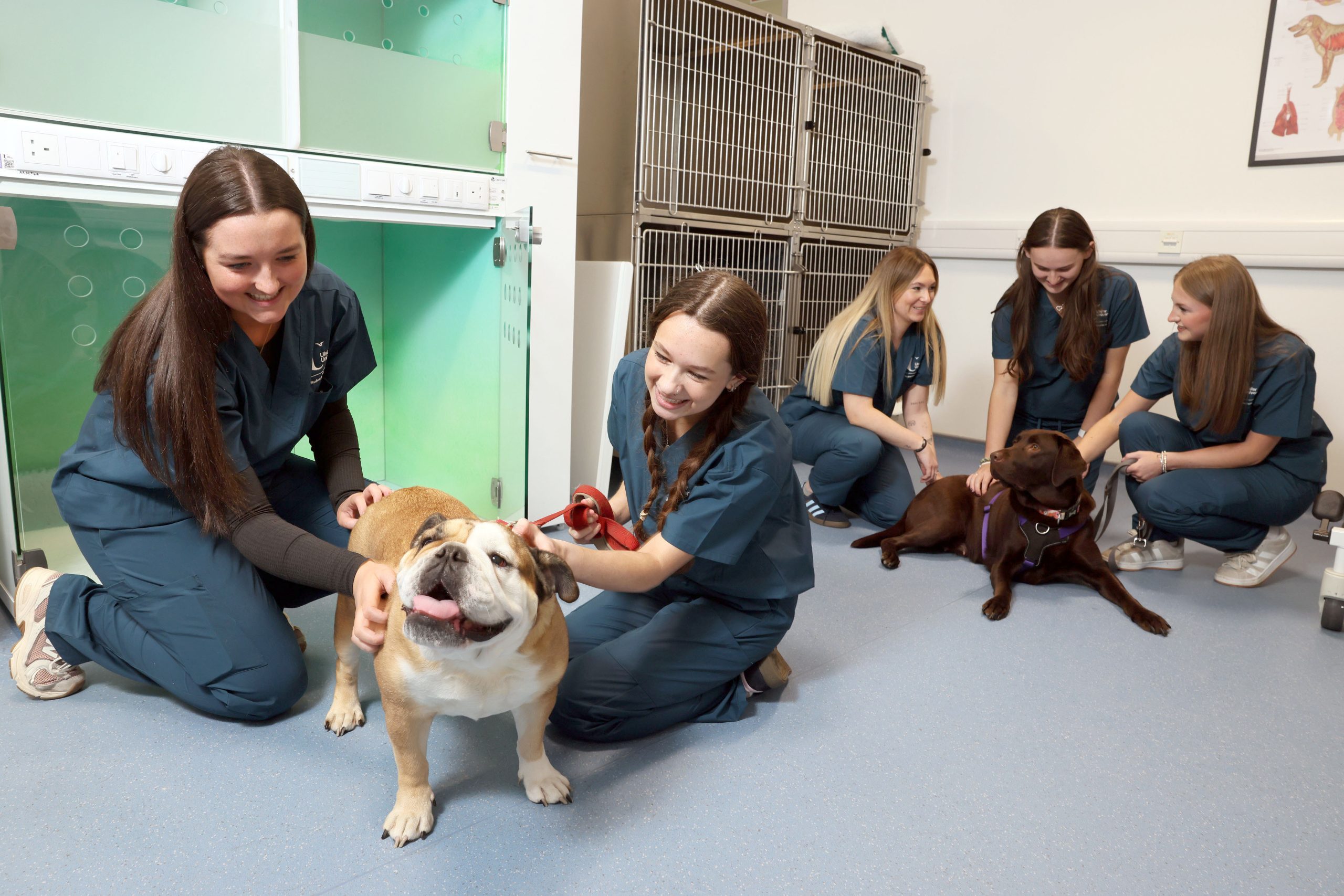 Ulster University Welcomes Northern Ireland’s First Veterinary Nursing Degree Cohort
