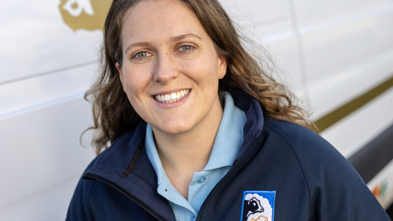 New Veterinary Leadership to Advance Artificial Insemination and Bull Genetics