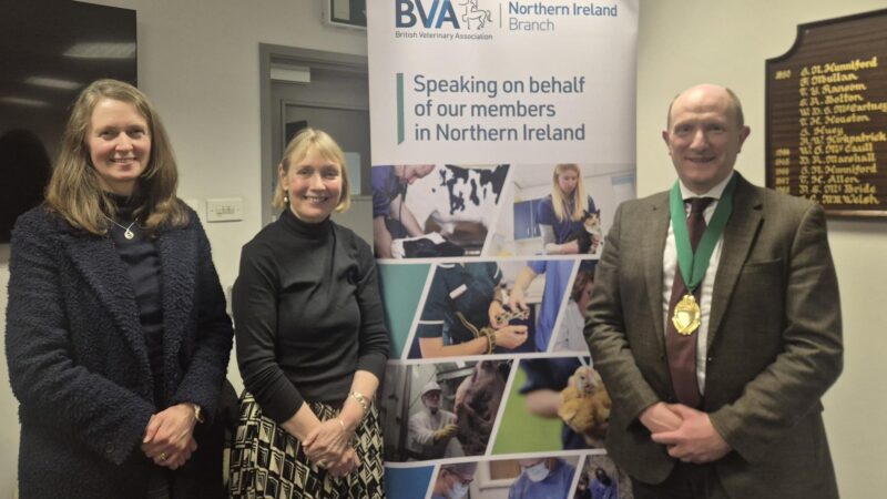 New NIVA President elected