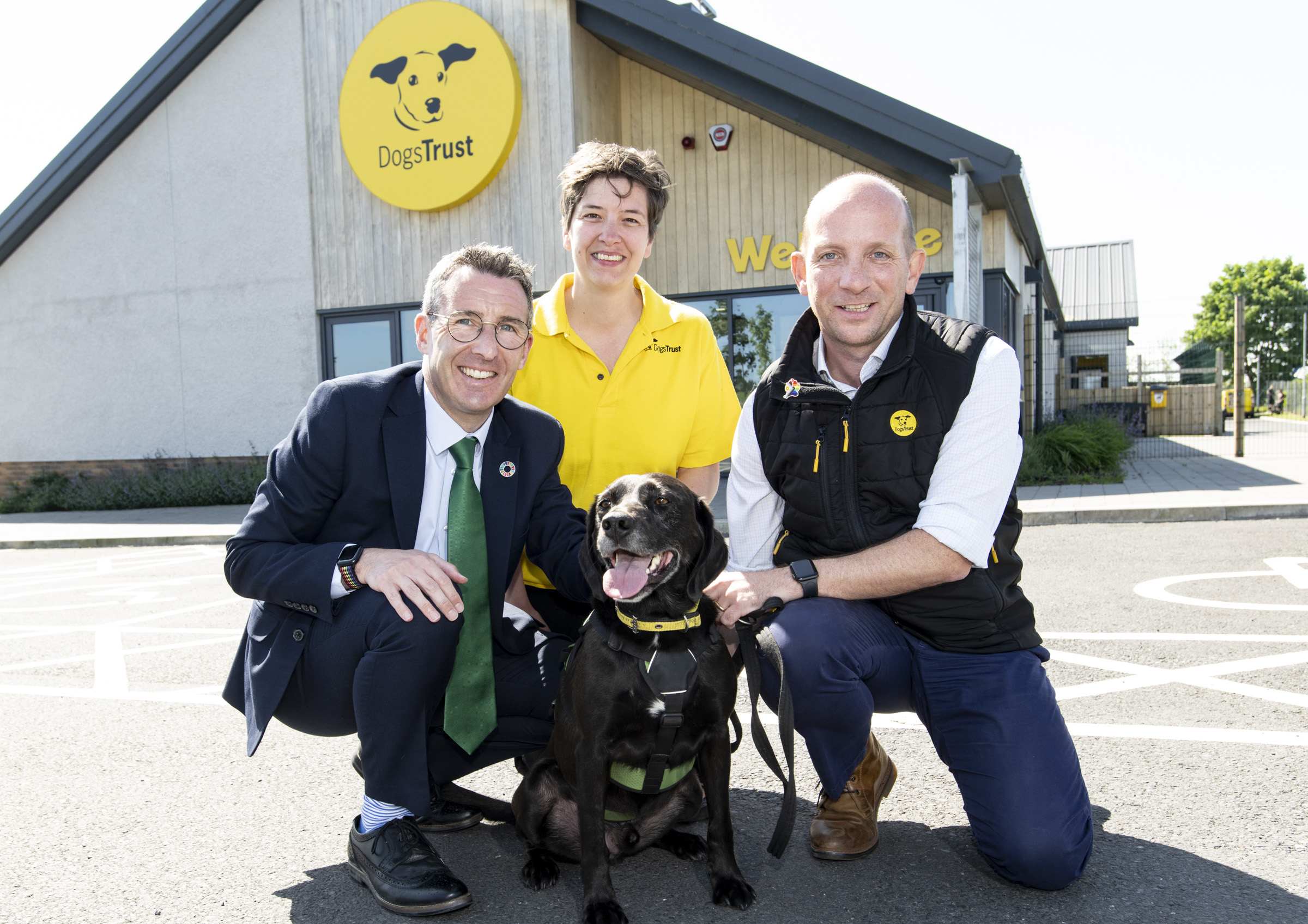 Muir announces next steps towards introducing new rules on selling and supplying puppies and kittens in Northern Ireland