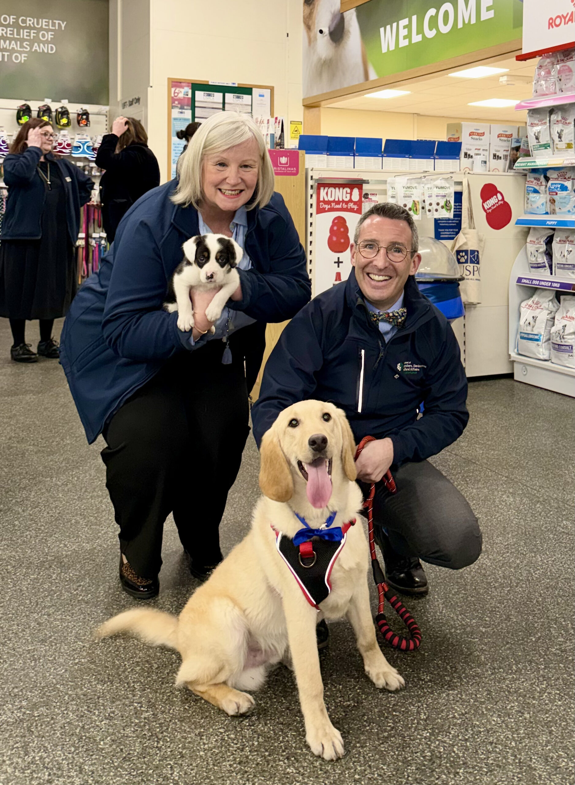 Post-Christmas pet regret: