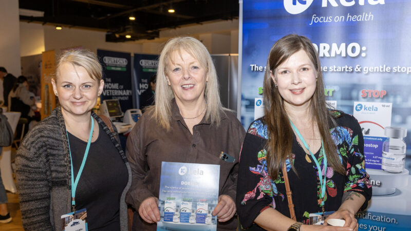 AVSPNI Spring Conference – CPD in the City: A Great Success