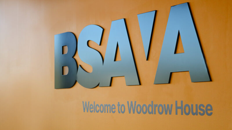 BSAVA unveils strategic plan to create “a BSAVA for the future”