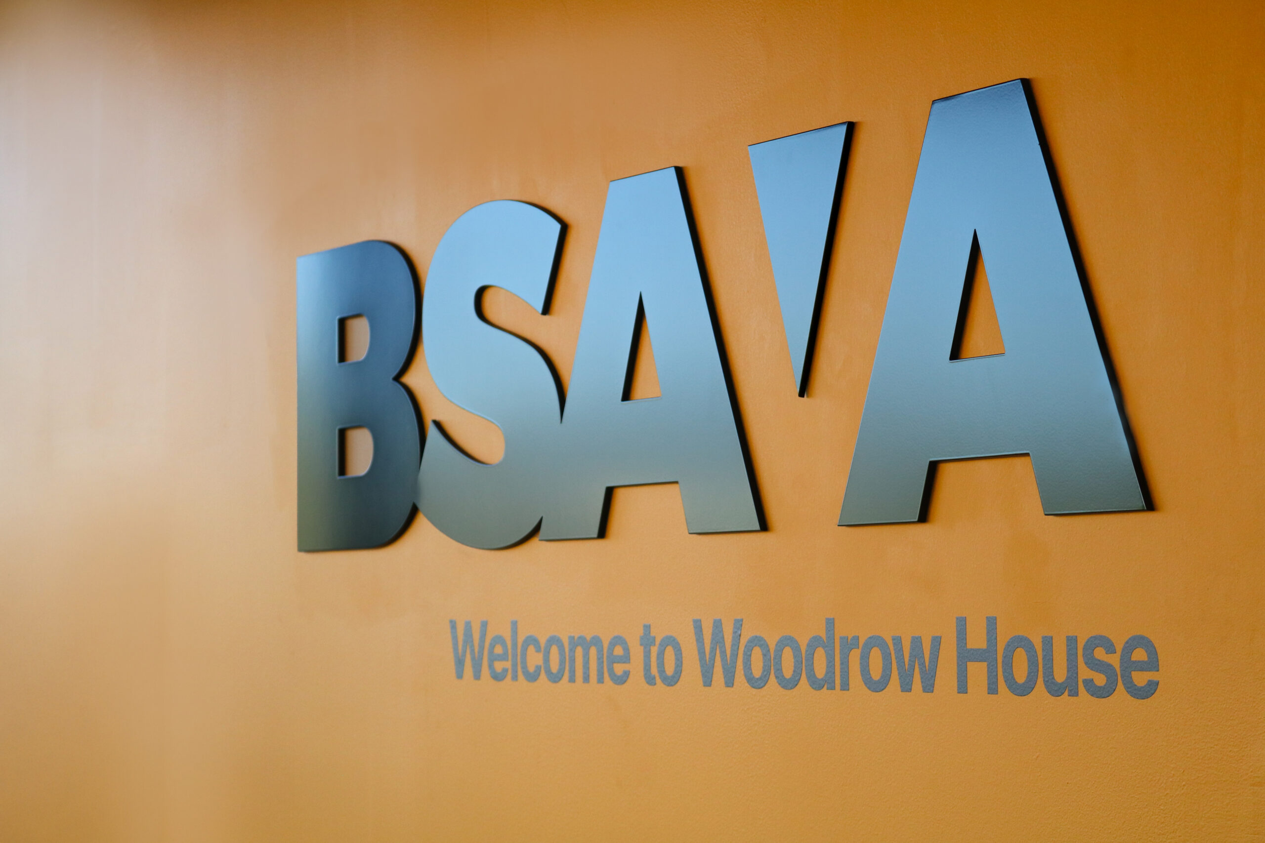 BSAVA unveils strategic plan to create “a BSAVA for the future”