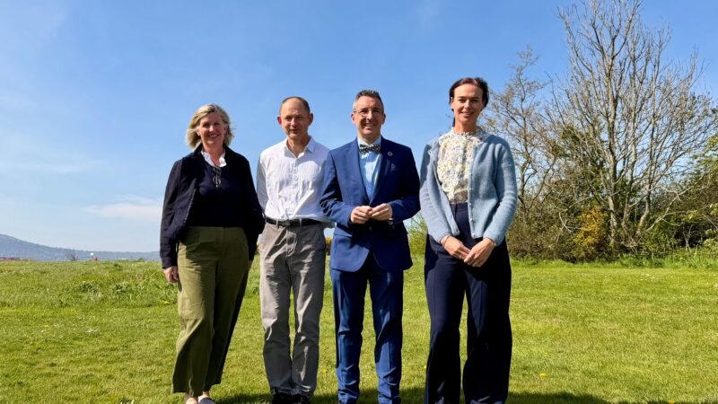 Expert Advisory Group completes review of Dog Breeding Regulations in Northern Ireland