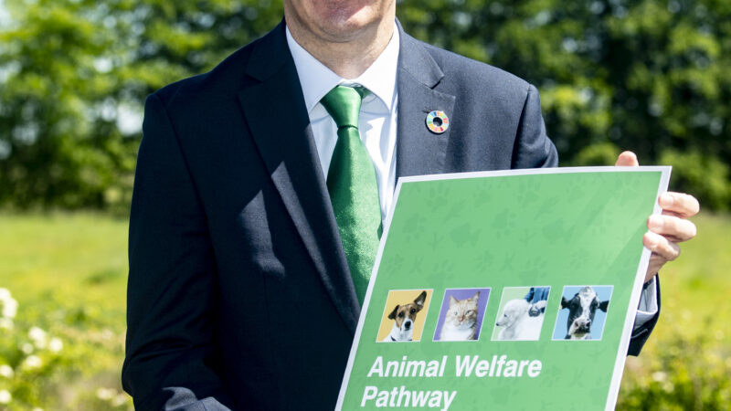 Public consultation on next phase of animal welfare reforms