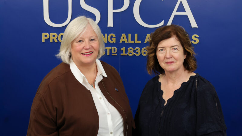 USPCA welcomes new chair Baroness Sue Gray