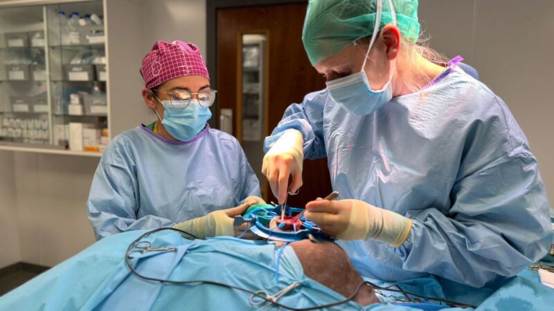 Northern Ireland Veterinary Specialists becomes Hillsborough Veterinary Referrals