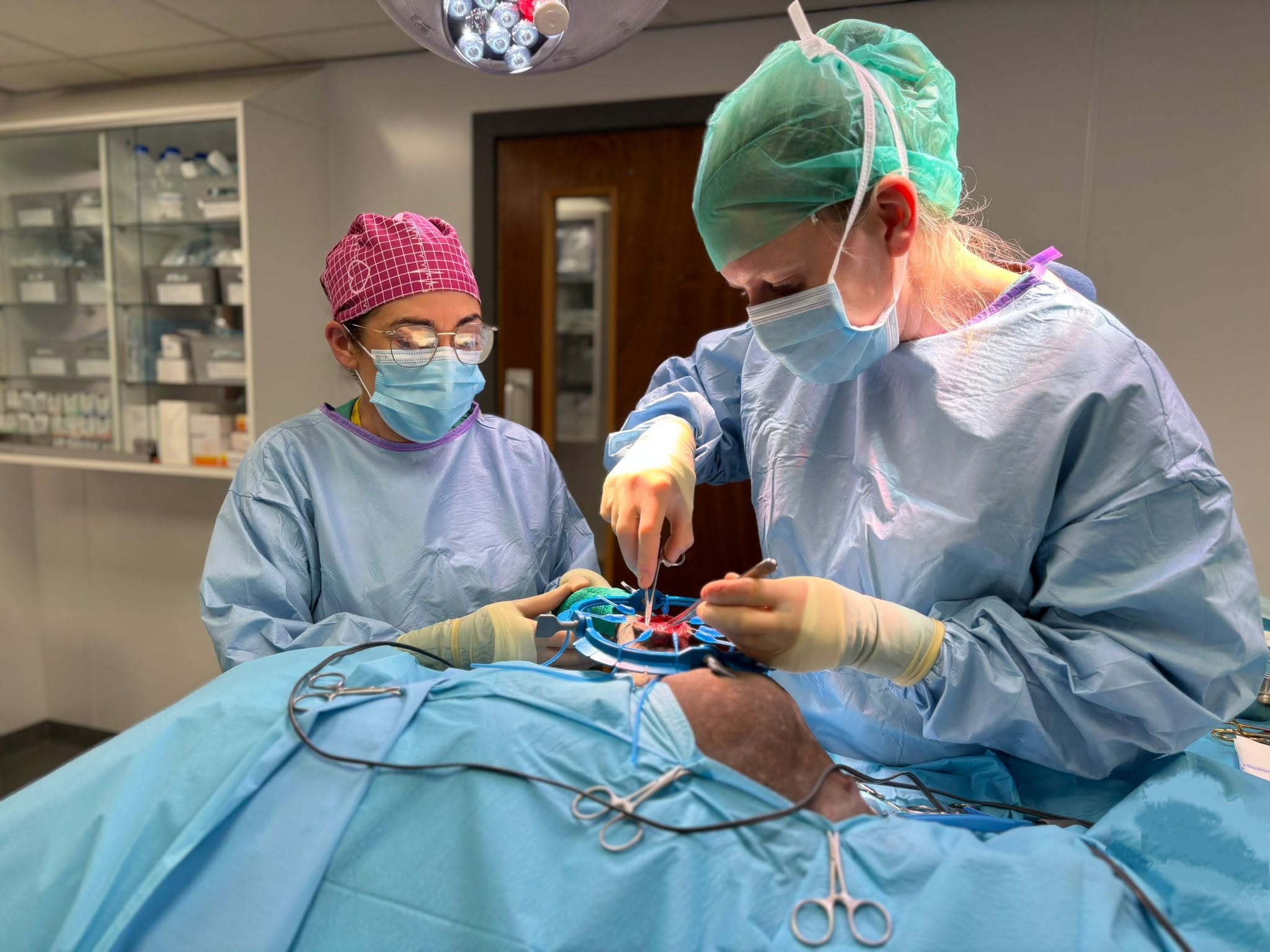 Northern Ireland Veterinary Specialists becomes Hillsborough Veterinary Referrals
