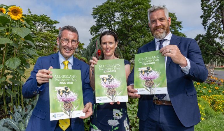 Ambitious new All-Ireland Pollinator Plan aims to create ‘pockets for nature every 200 metres’